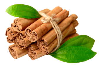 Cannelle de Ceylan