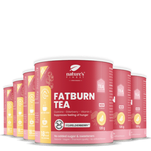 FatBurn Tea 6x paquet