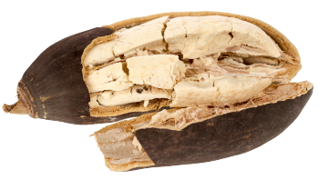 Poudre de baobab