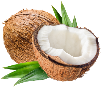 Huile de coco