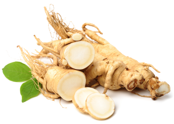 Ginseng sibérien