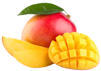 Mangue biologique