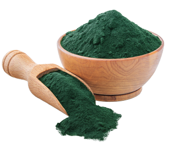Spiruline