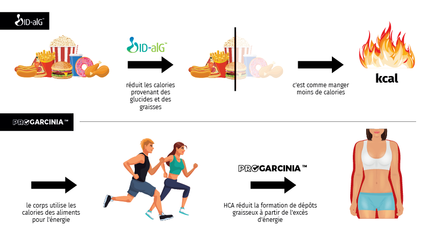 D-FatBurner 1+1 GRATUIT