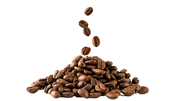 Café instantané (Coffea arabica L.)