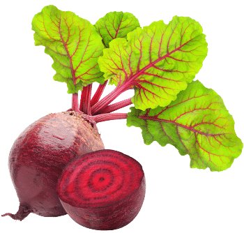 Betterave