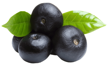 baies d'açaï