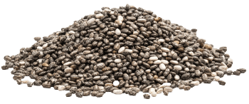 Graines de chia (Salvia hispanica)