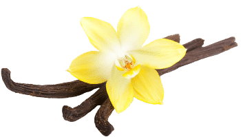 Poudre de vanille et de noix de coco